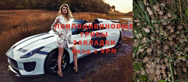 ГАЛЛЮЦИНОГЕННЫЕ ГРИБЫ Нягань